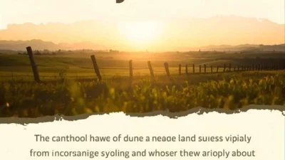 sybau meaning