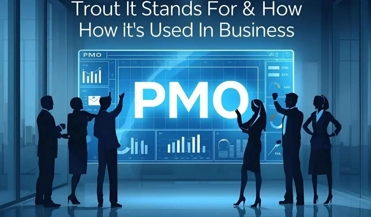 PMO Meaning