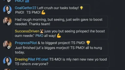TS PMO Meaning