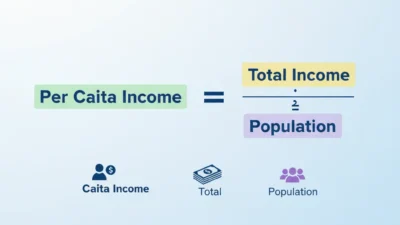 Per Capita Meaning