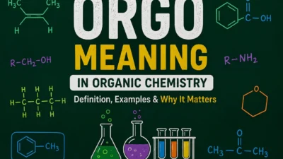 Orgo Meaning